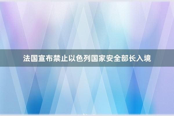 法国宣布禁止以色列国家安全部长入境