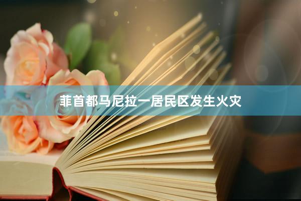 菲首都马尼拉一居民区发生火灾