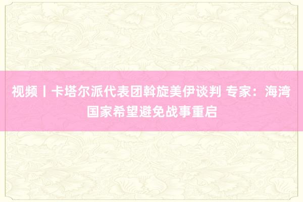 视频丨卡塔尔派代表团斡旋美伊谈判 专家：海湾国家希望避免战事重启