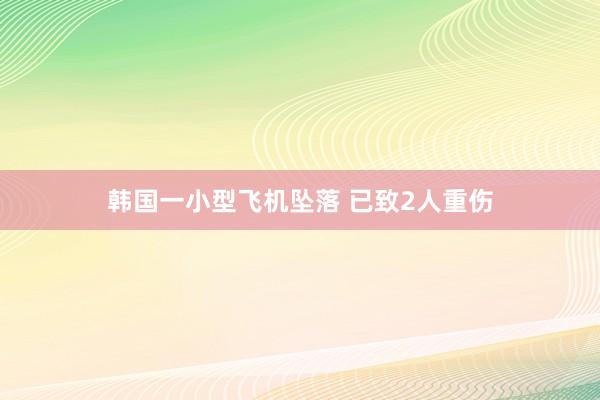 韩国一小型飞机坠落 已致2人重伤