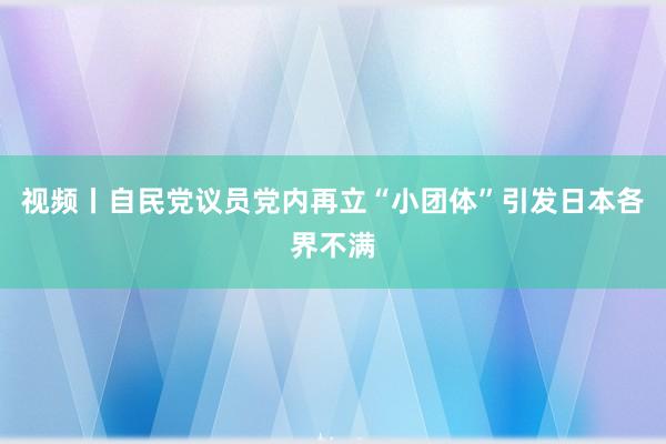 视频丨自民党议员党内再立“小团体”引发日本各界不满