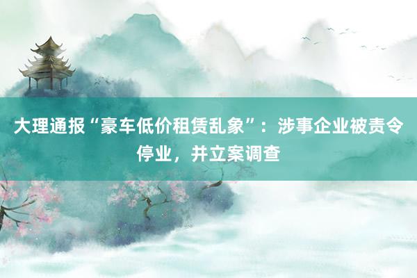 大理通报“豪车低价租赁乱象”：涉事企业被责令停业，并立案调查