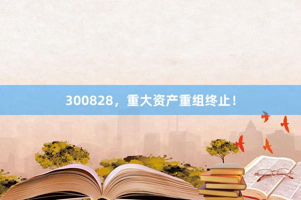 300828，重大资产重组终止！