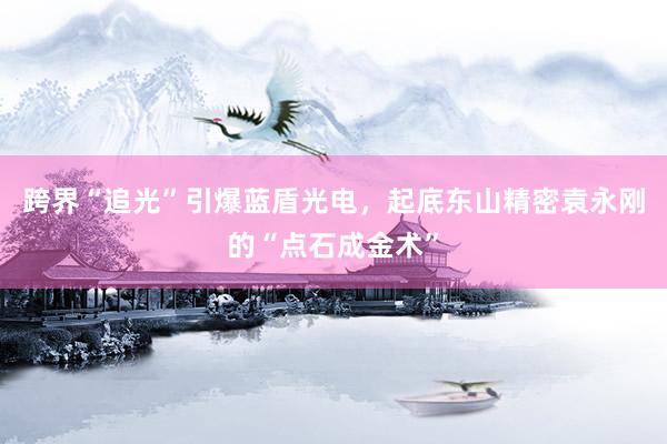 跨界“追光”引爆蓝盾光电，起底东山精密袁永刚的“点石成金术”