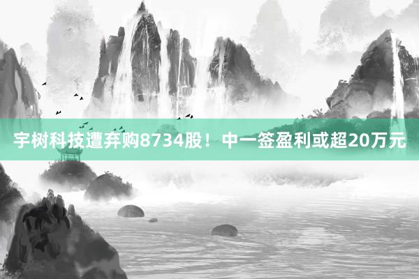 宇树科技遭弃购8734股！中一签盈利或超20万元