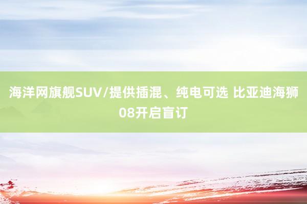 海洋网旗舰SUV/提供插混、纯电可选 比亚迪海狮08开启盲订