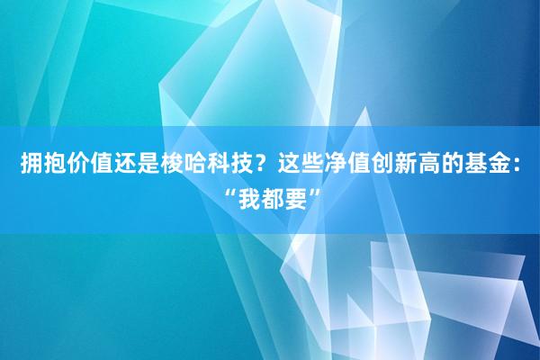 拥抱价值还是梭哈科技？这些净值创新高的基金：“我都要”