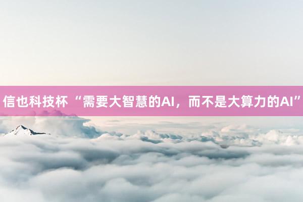 信也科技杯 “需要大智慧的AI，而不是大算力的AI”