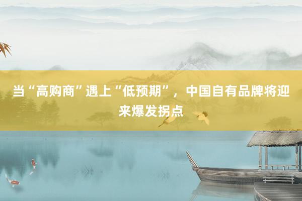 当“高购商”遇上“低预期”，中国自有品牌将迎来爆发拐点