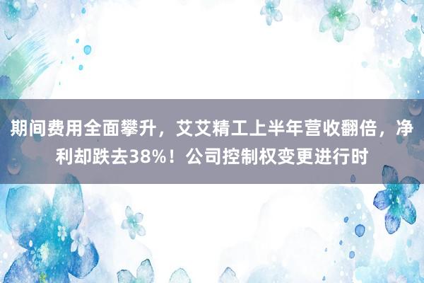 期间费用全面攀升，艾艾精工上半年营收翻倍，净利却跌去38%！公司控制权变更进行时