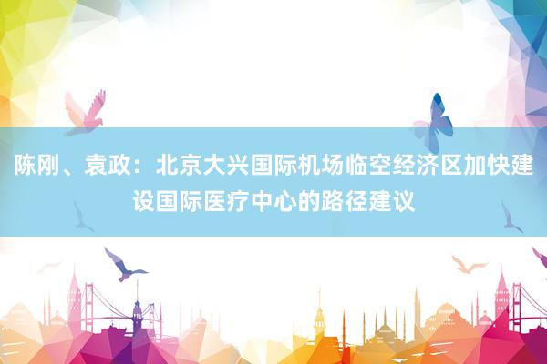陈刚、袁政：北京大兴国际机场临空经济区加快建设国际医疗中心的路径建议