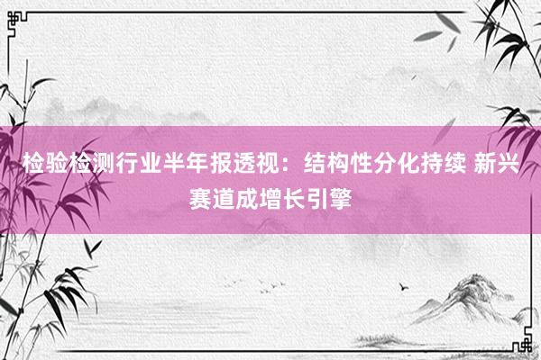 检验检测行业半年报透视：结构性分化持续 新兴赛道成增长引擎