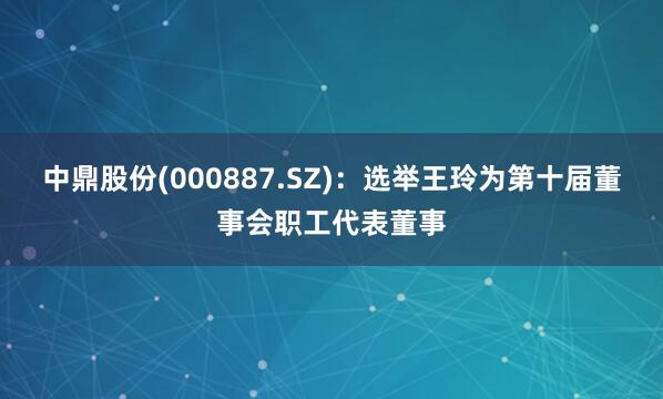中鼎股份(000887.SZ)：选举王玲为第十届董事会职工代表董事