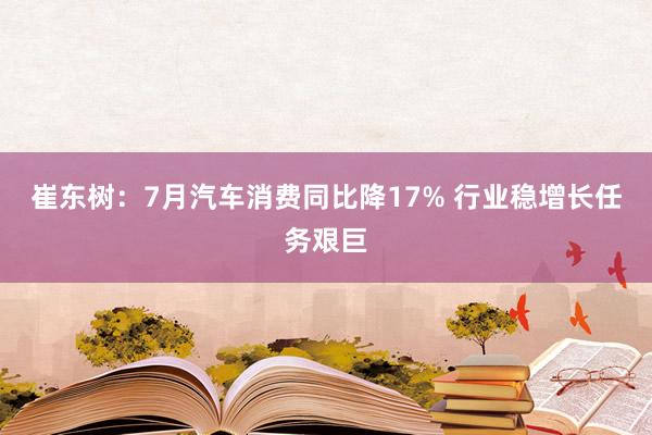 崔东树：7月汽车消费同比降17% 行业稳增长任务艰巨