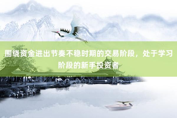 围绕资金进出节奏不稳时期的交易阶段，处于学习阶段的新手投资者
