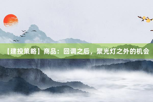 【建投策略】商品：回调之后，聚光灯之外的机会