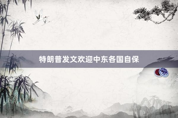 特朗普发文欢迎中东各国自保
