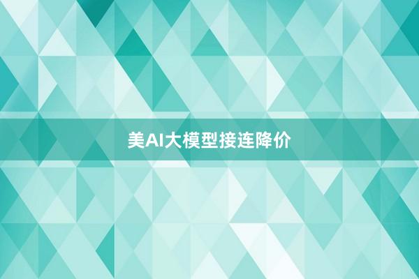 美AI大模型接连降价