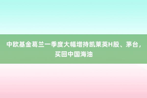 中欧基金葛兰一季度大幅增持凯莱英H股、茅台，买回中国海油