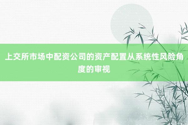 上交所市场中配资公司的资产配置从系统性风险角度的审视