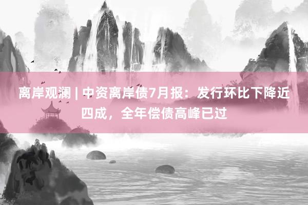 离岸观澜 | 中资离岸债7月报：发行环比下降近四成，全年偿债高峰已过
