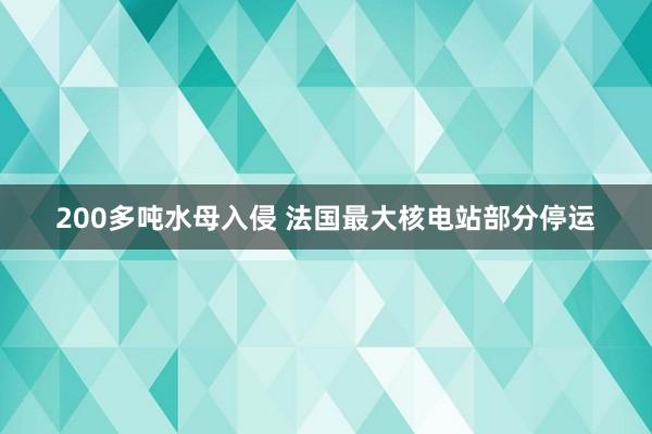 200多吨水母入侵 法国最大核电站部分停运