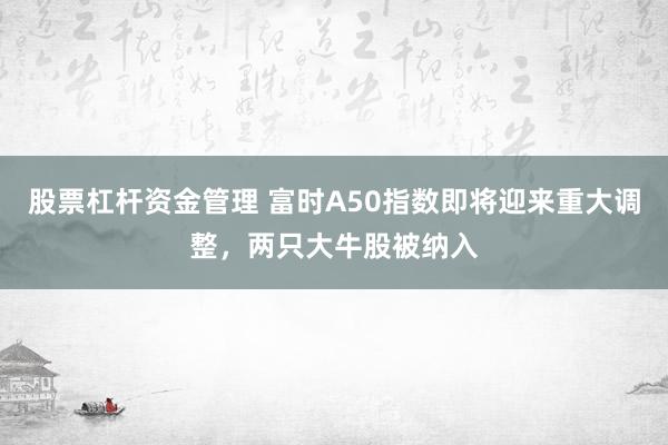股票杠杆资金管理 富时A50指数即将迎来重大调整，两只大牛股被纳入