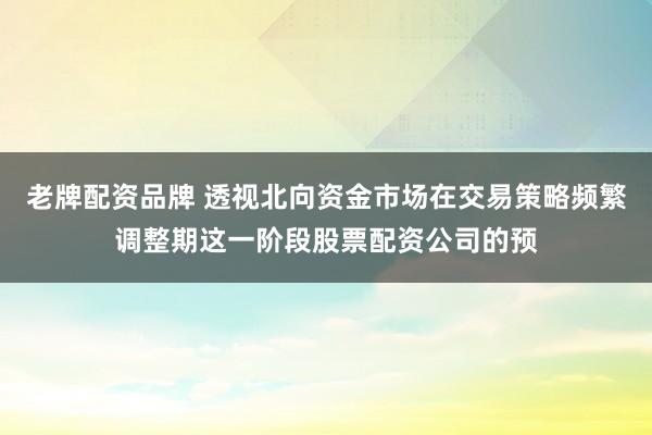 老牌配资品牌 透视北向资金市场在交易策略频繁调整期这一阶段股票配资公司的预
