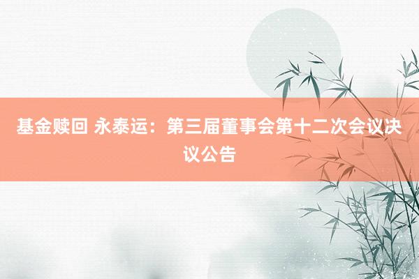 基金赎回 永泰运：第三届董事会第十二次会议决议公告
