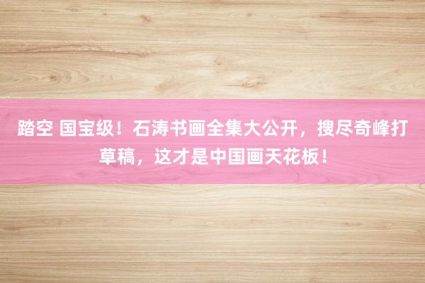 踏空 国宝级！石涛书画全集大公开，搜尽奇峰打草稿，这才是中国画天花板！