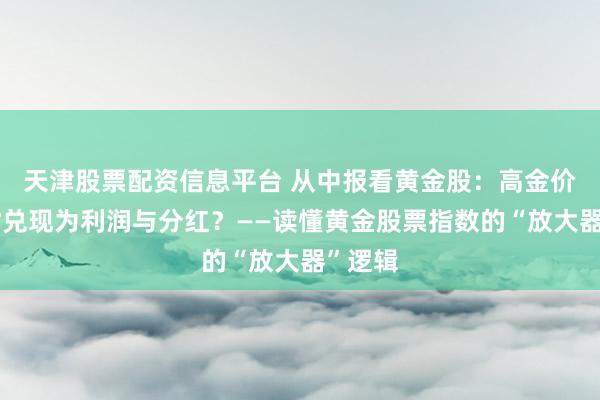 天津股票配资信息平台 从中报看黄金股：高金价，何时兑现为利润与分红？——读懂黄金股票指数的“放大器”逻辑