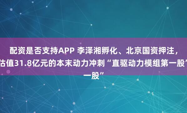 配资是否支持APP 李泽湘孵化、北京国资押注，估值31.8亿元的本末动力冲刺“直驱动力模组第一股”