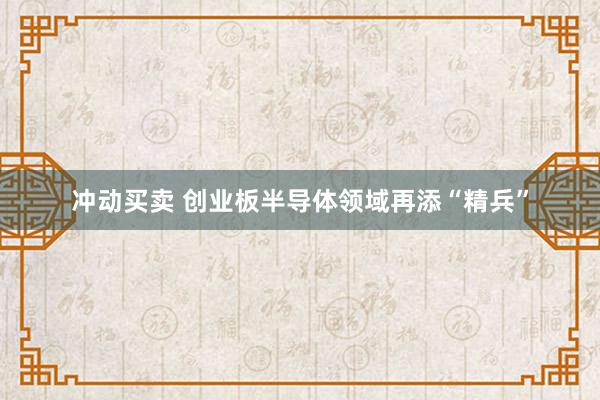 冲动买卖 创业板半导体领域再添“精兵”