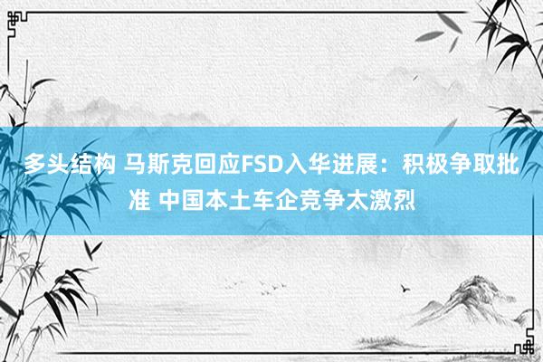 多头结构 马斯克回应FSD入华进展：积极争取批准 中国本土车企竞争太激烈